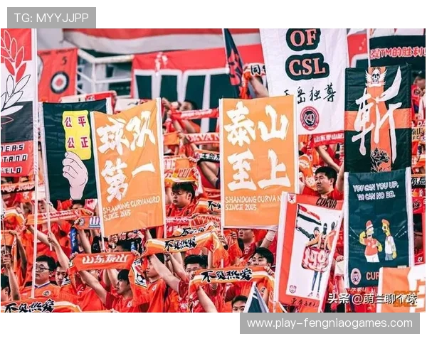 球迷骚乱事件后续：涉事俱乐部被罚空场作战