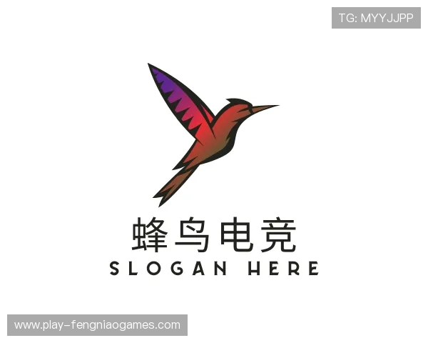 关于蜂鸟竞技团队